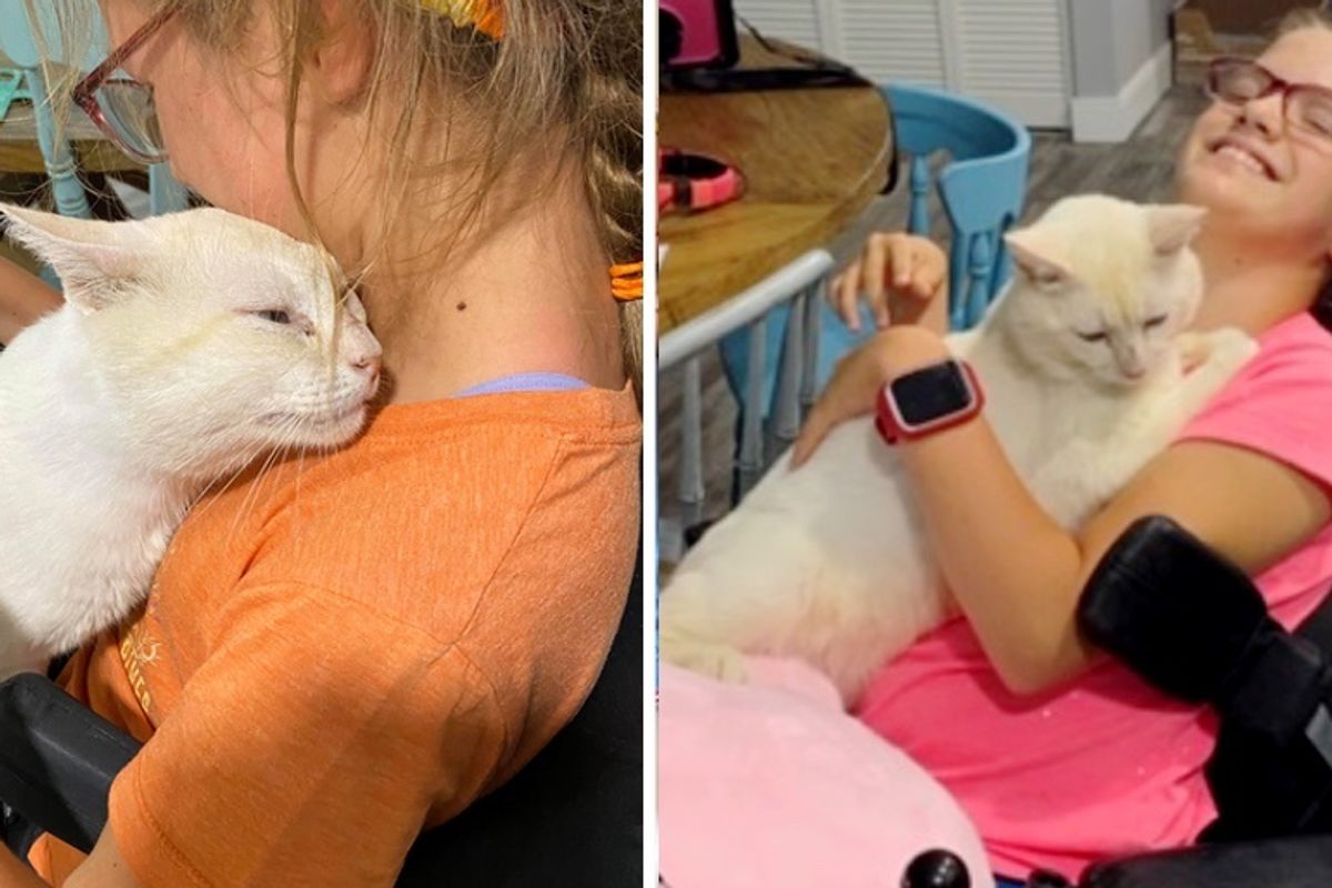 Cat Hops Onto Lap of Girl in Wheelchair and Chooses Her to Be Family