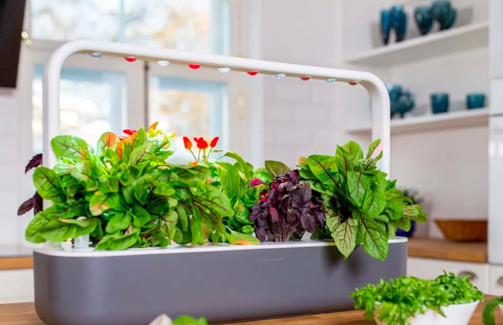 The Click and Grow Smart Garden 9 comes with complimentary plant capsules