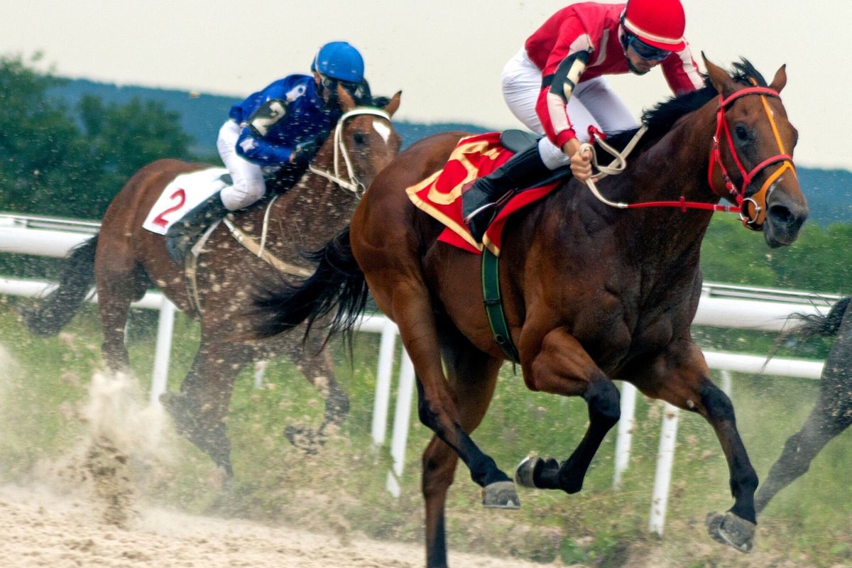 a jockey in red and a jockey in blue race on horses