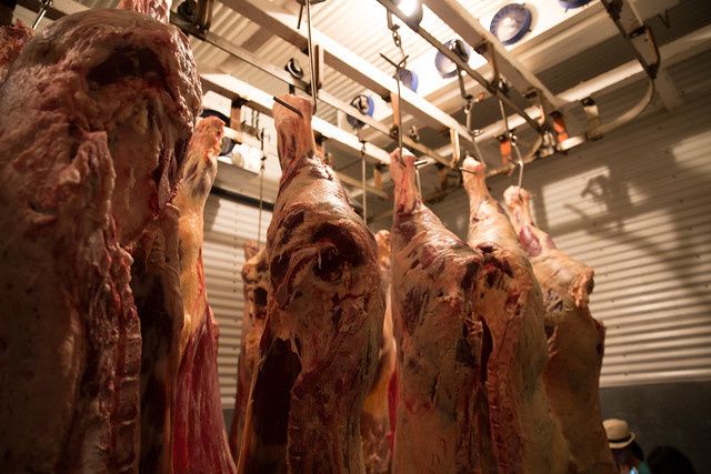 meatpackers, coronavirus, covid-19