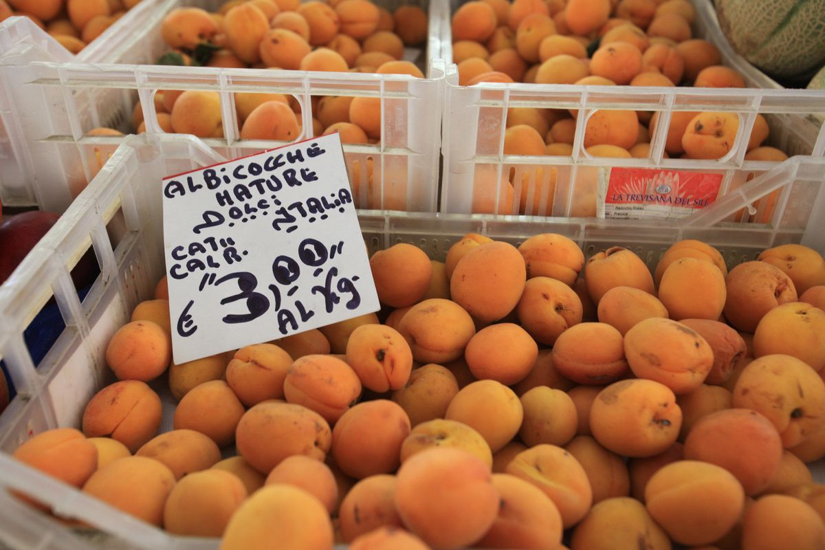 Albicocca pride. Il piccolo frutto d’oro che fa bene all’organismo e all’orgoglio italiano