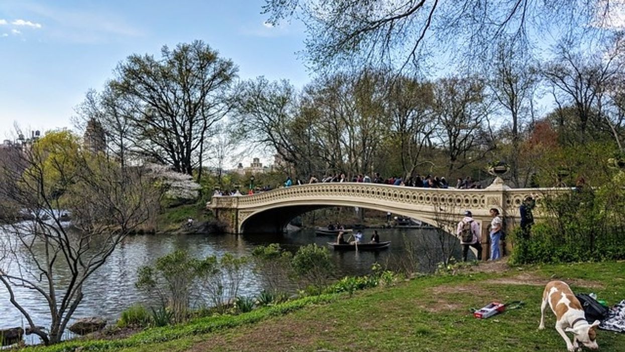 Christian Cooper, New York Central Park