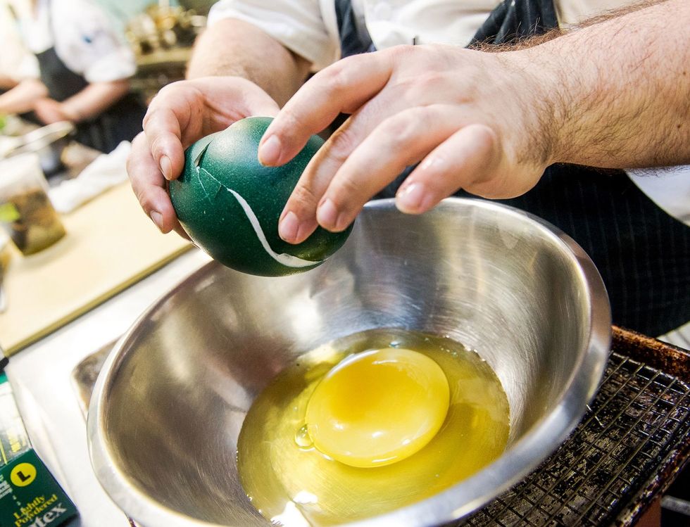 emu eggs