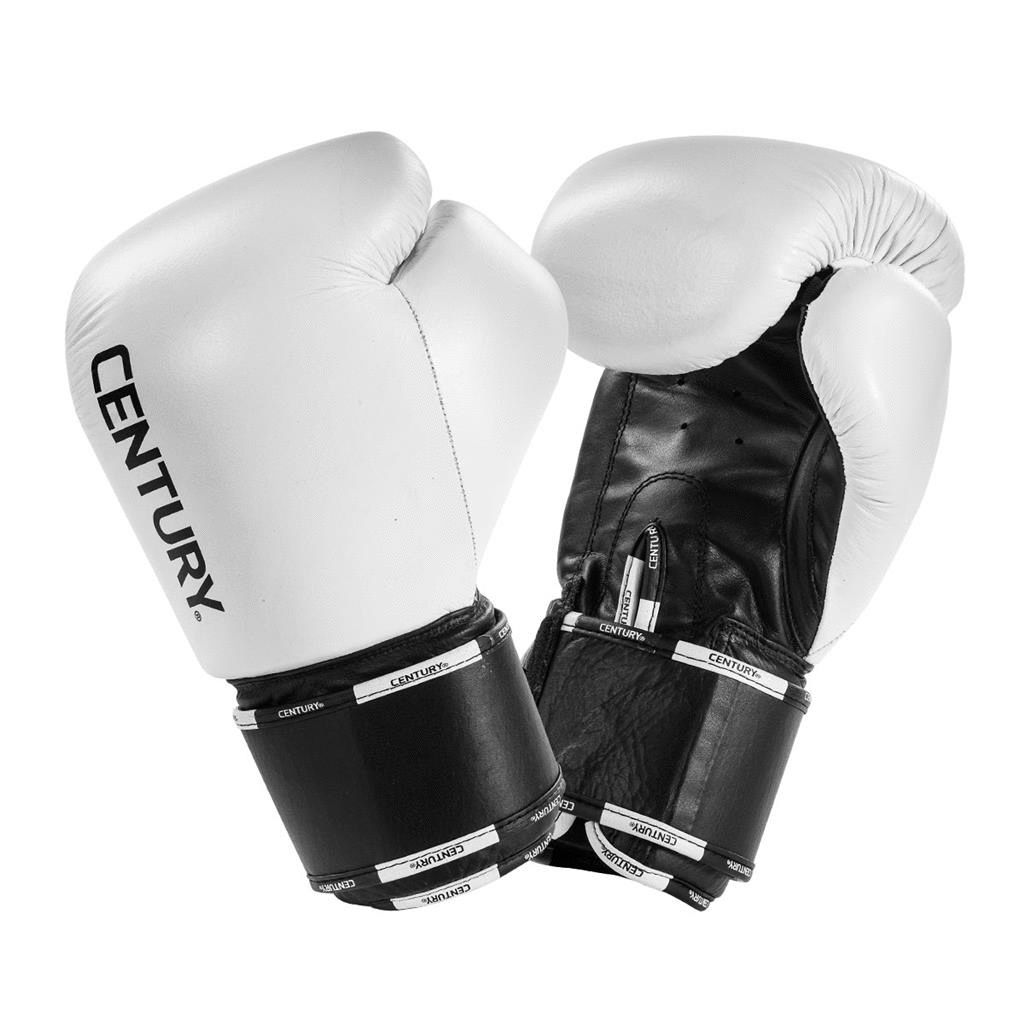 century martial arts punching bag