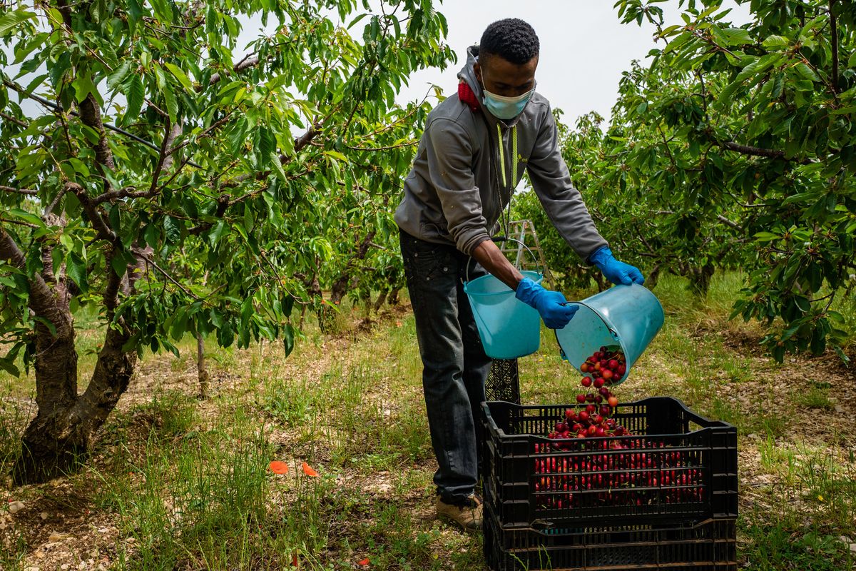 Una partenza flop per la sanatoria: «Le richieste? Sono un centinaio»