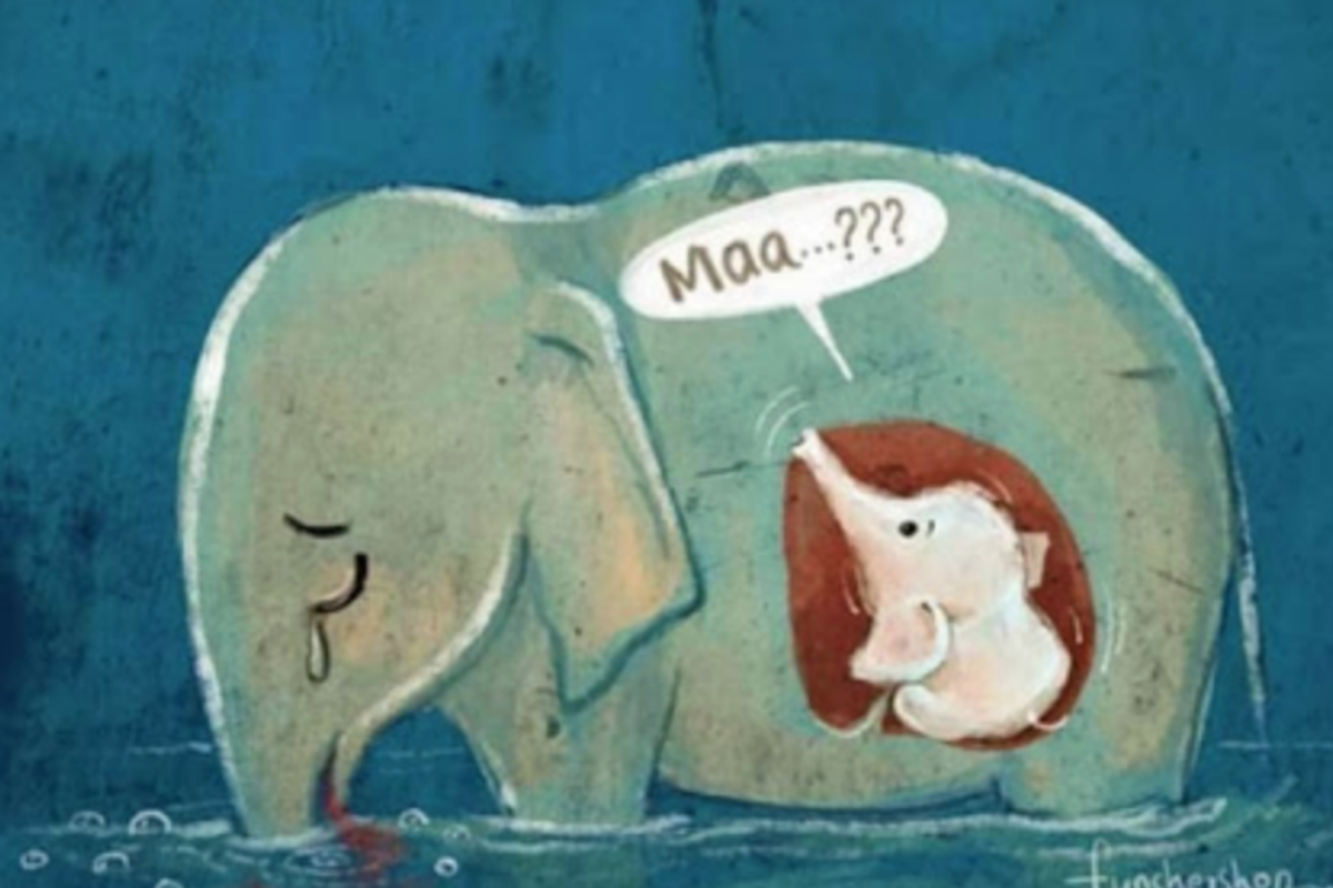 Elefantessa incinta uccisa: «Giusta compassione per elefantino ucciso. Ma per bambini non nati?»