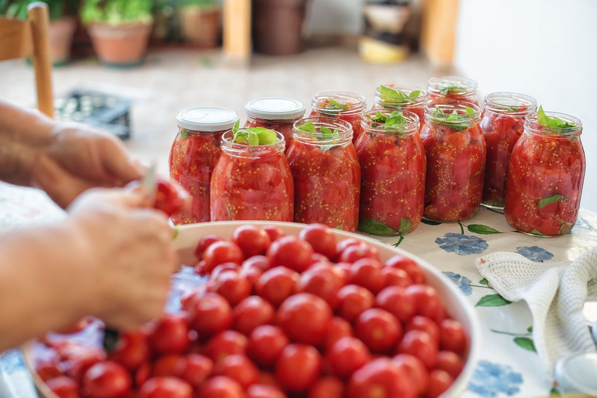 Oro rosso. Basta un pomodoro a rendere ricca la nostra alimentazione