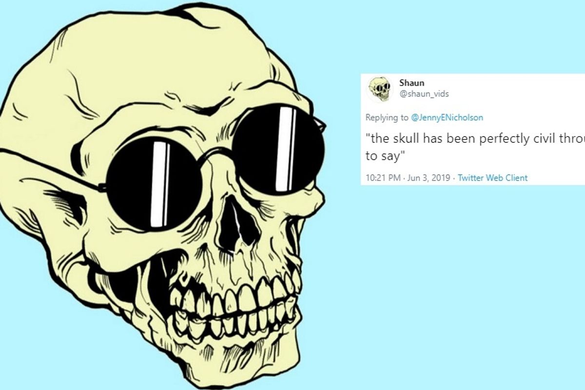 Shaun from youtube skull