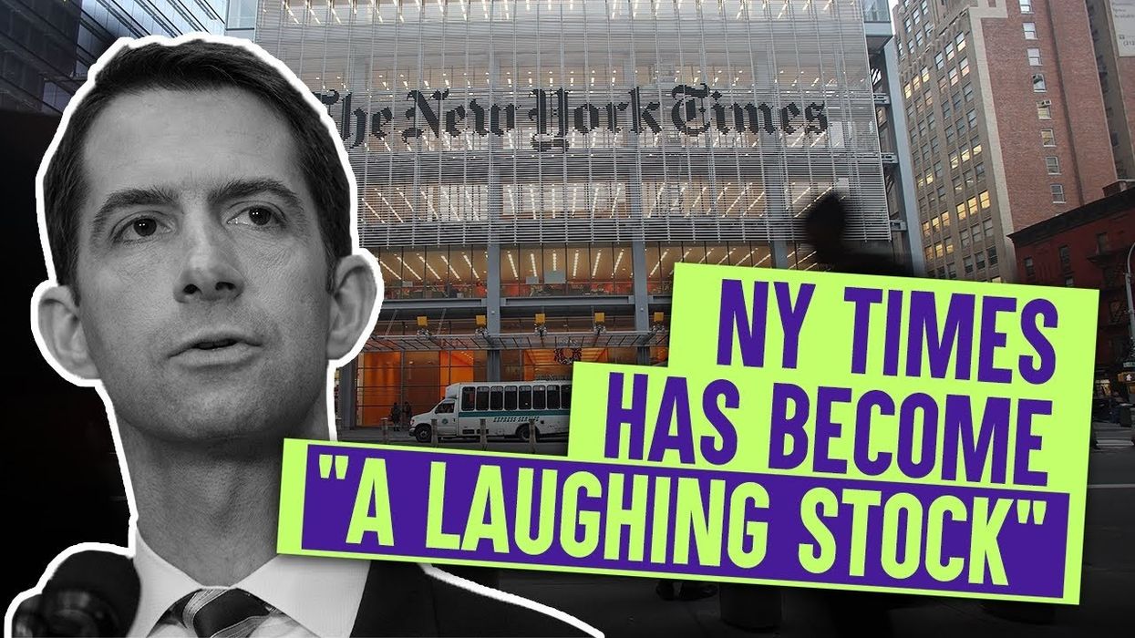 SEN. TOM COTTON on editorial fiasco: Even employees know New York Times is making a FOOL OF ITSELF