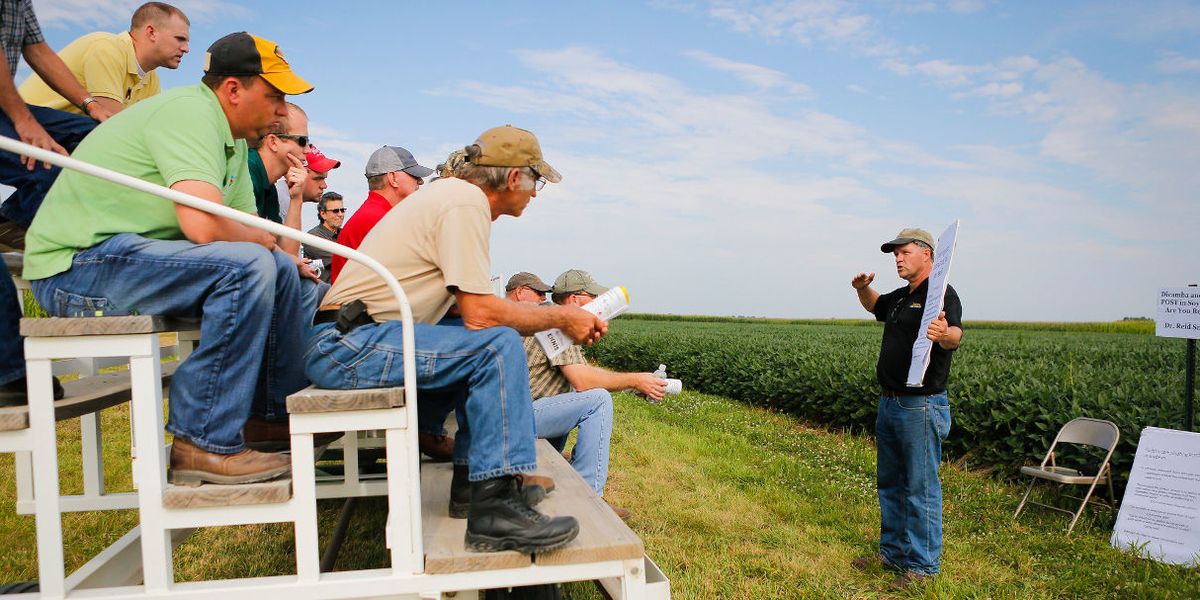 dicamba pesticide farmers
