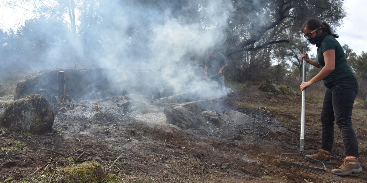 Indigenous wildfire