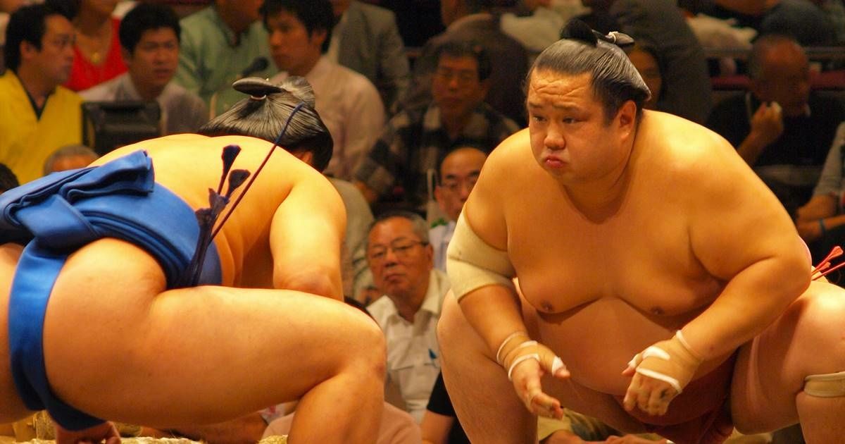 Woman who attempted suicide in Japan had her life saved by 20 heroic sumo wrestlers photo photo