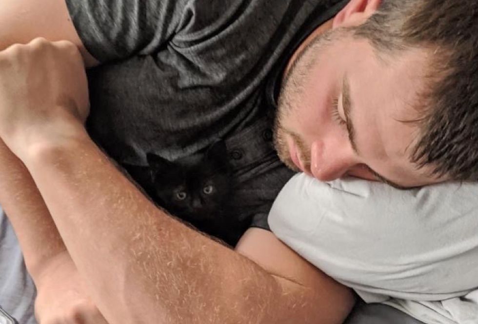 man, cuddles, kitten