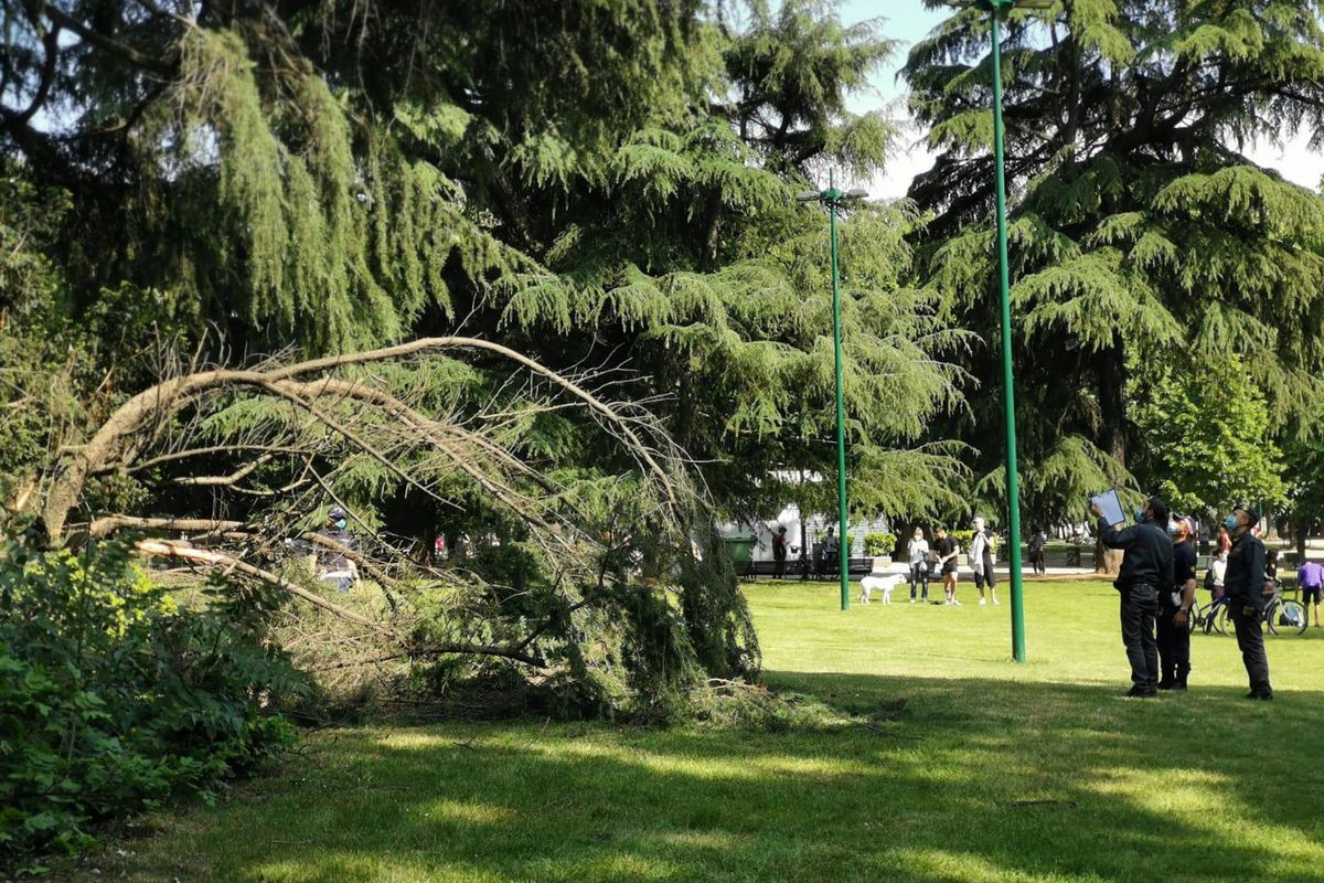 L’abate e i sei monaci giganti silenziosi a guardia dei giardini