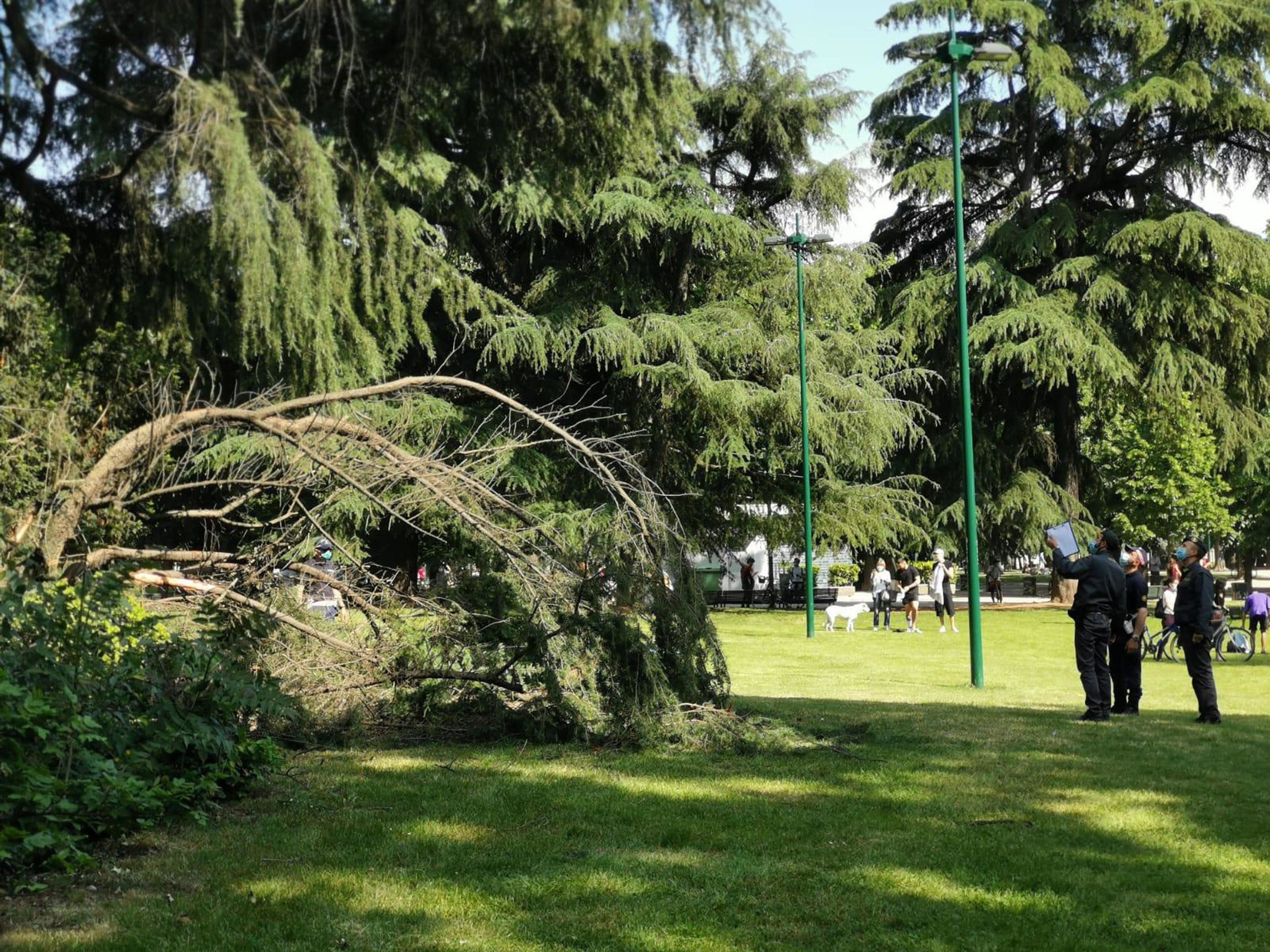 L’abate e i sei monaci giganti silenziosi a guardia dei giardini
