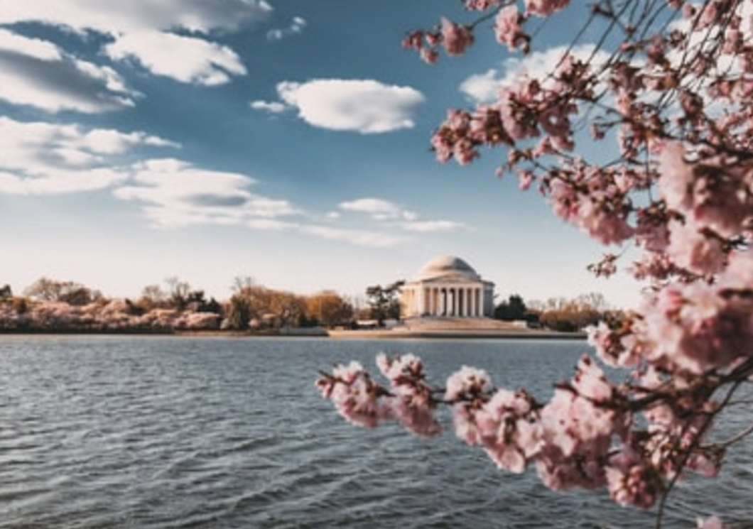 5 Ways To Make The Most Of Your 2020 Summer If You Live Near Washington, D.C.