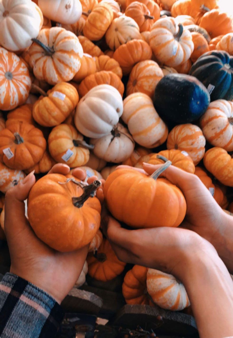 Making The Most Of Holidays On Campus