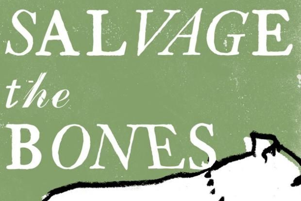 salvage the bones setting