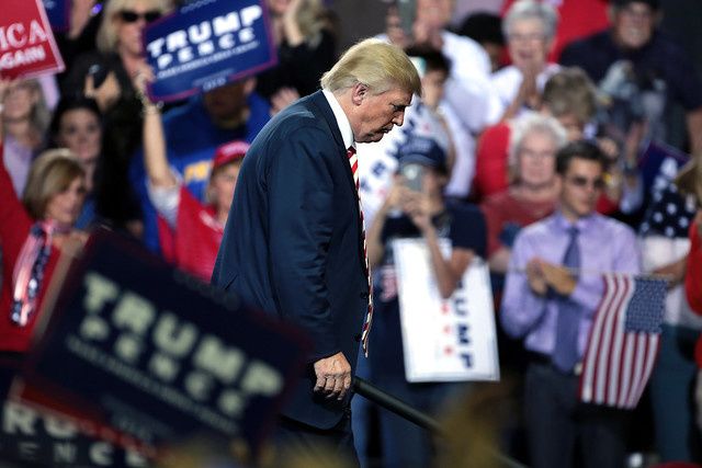 Donald Trump supporters, poll