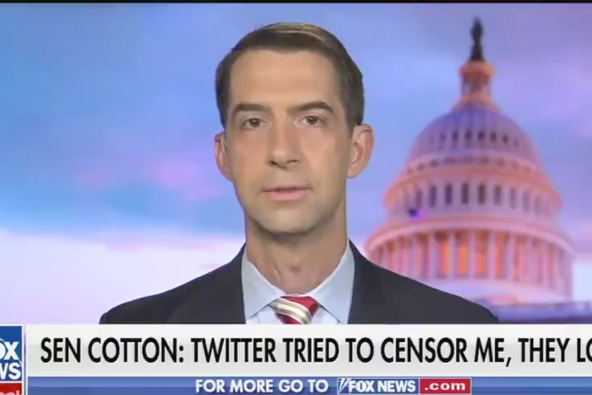 American Hero Tom Cotton Wins Thrilling Battle With Random Twitter Intern