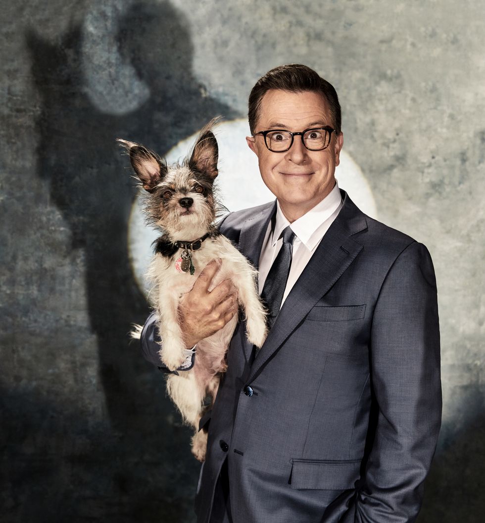 Stephen Colbert in a gray suit holding a small dog.