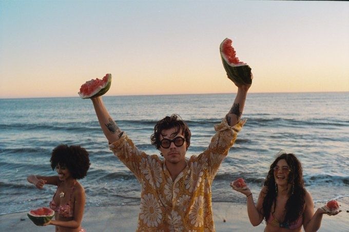 Harry Styles Releases Watermelon Sugar Music Video Full Of Everything   Img 