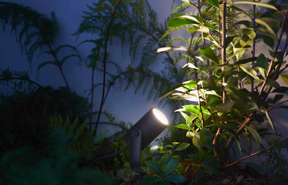 Philips Hue lights