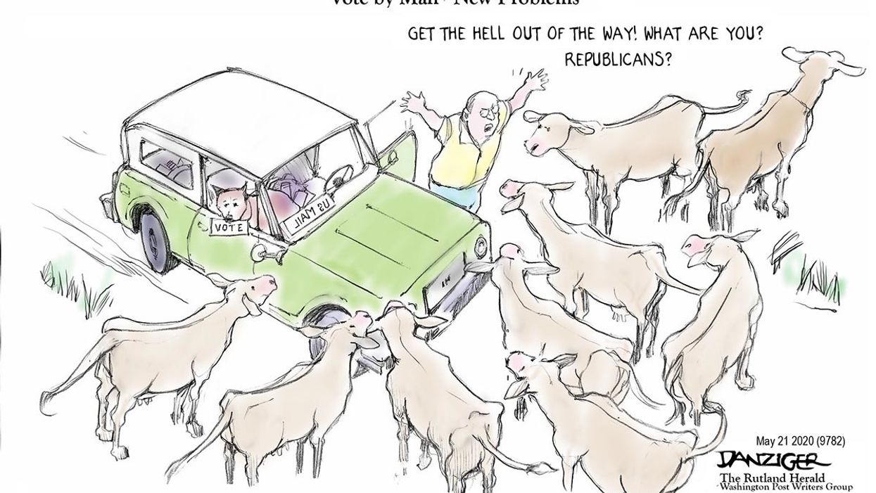 Danziger Draws