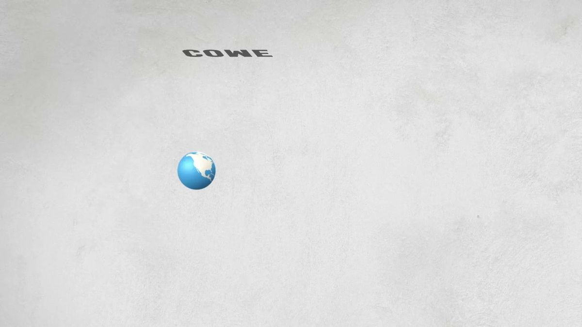 Come spende i fondi l'Oms