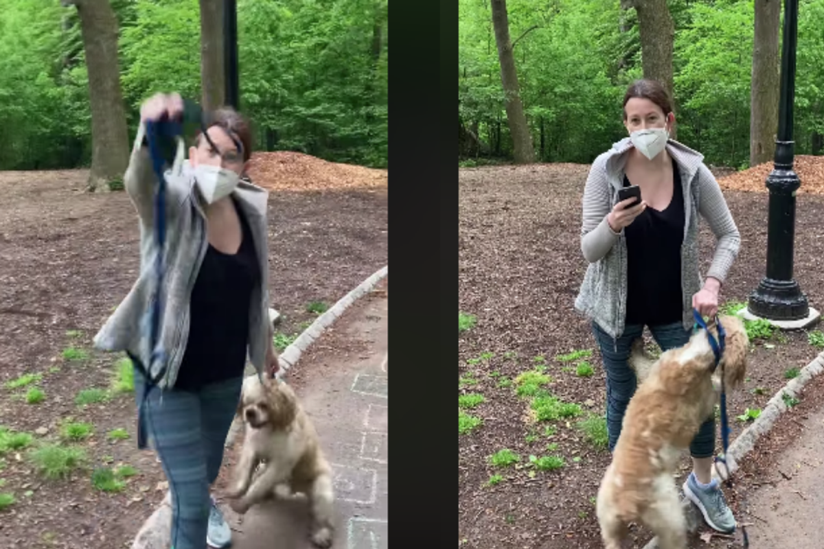 Woman calls police on a black man in Central Park who asked her to put her dog on a leash