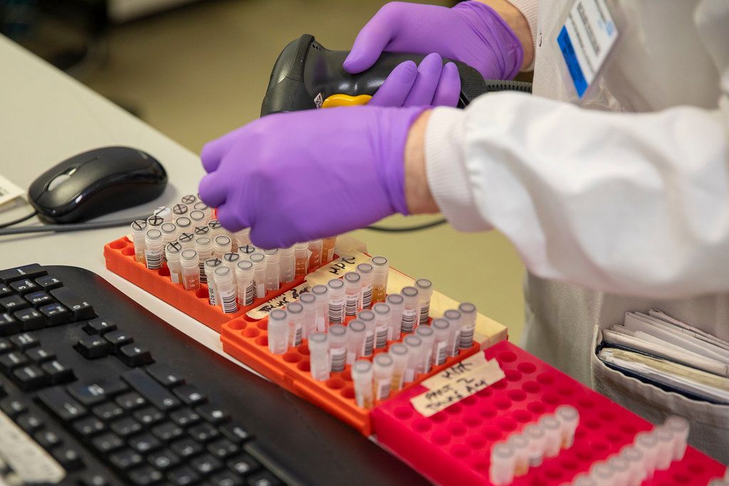 hydroxychloroquine, clinical drug trials