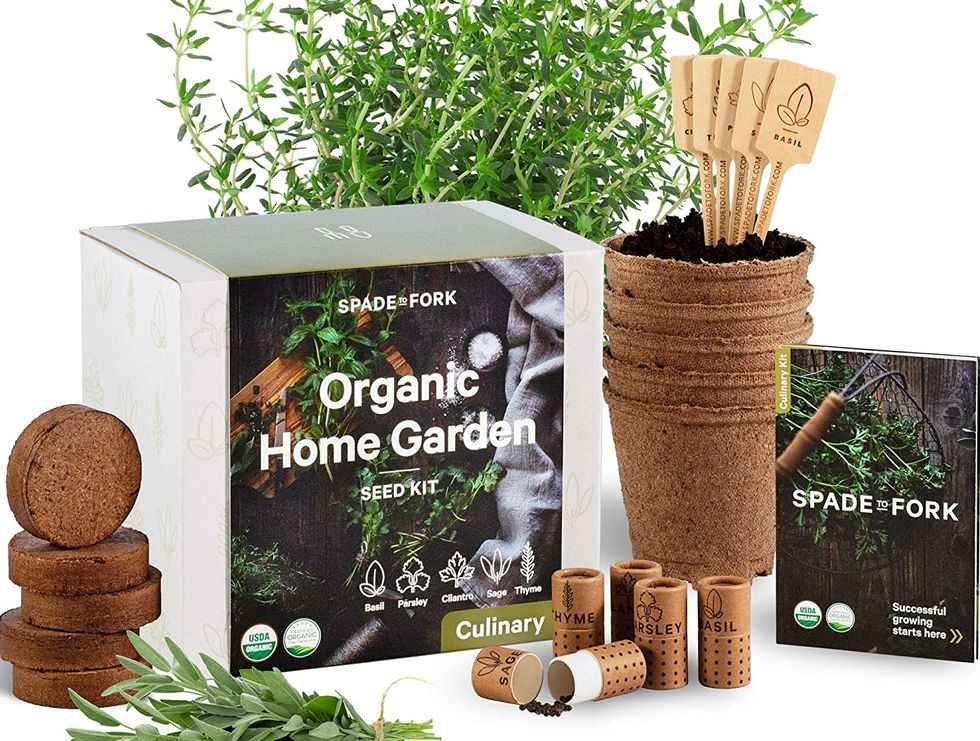 9 Amazing Products for Your Indoor/Patio Garden Topdust