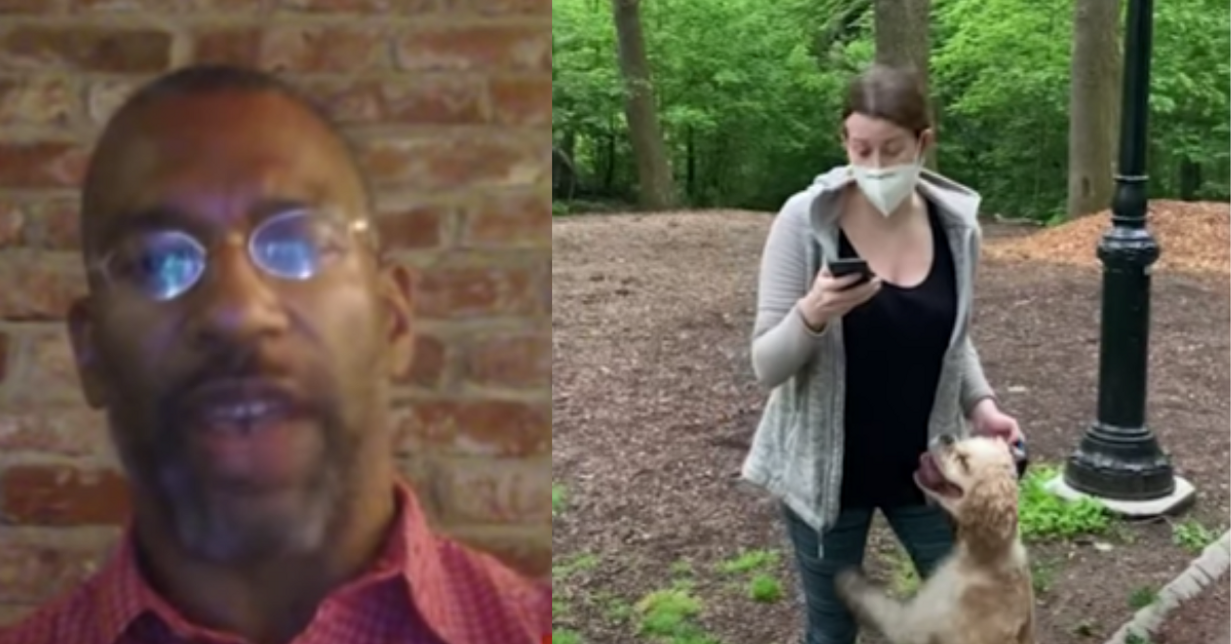 Central Park Birdwatcher Says Torrent Of Death Threats Against Woman Who Called Cops Needs To 'Stop Immediately'