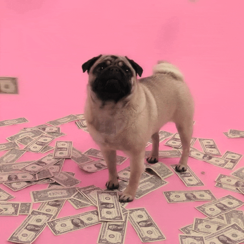 Did Ayn Rand And Grover Norquist Drown Their PPP Moneys In The Bathtub? THEY BETTER DID!