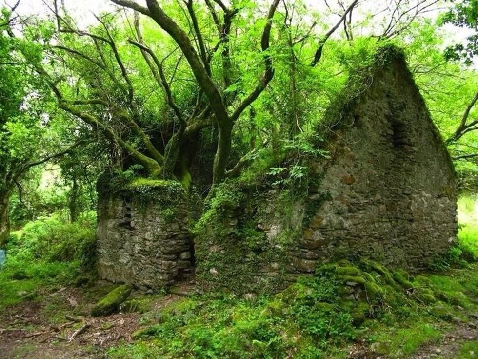 North Brother Island