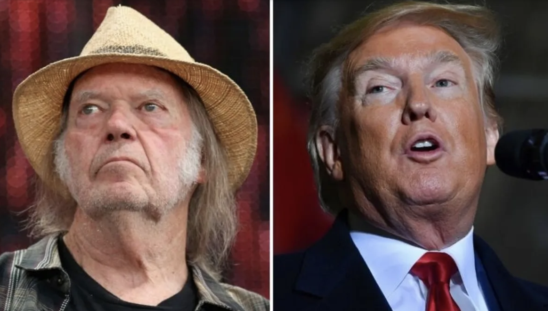 Neil Young Writes 'Looking For A Leader 2020' For Donald Trump - Second ...