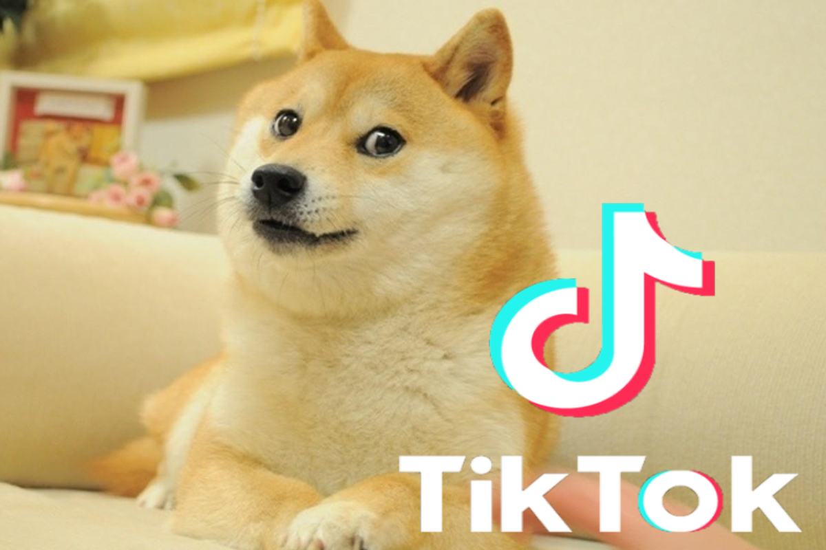 TikTok Dogecoin Challenge