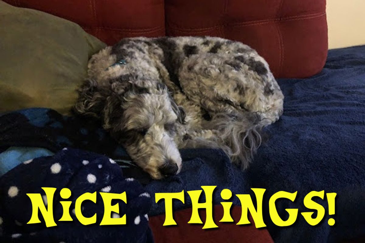 The Unbearable Niceness Of Things