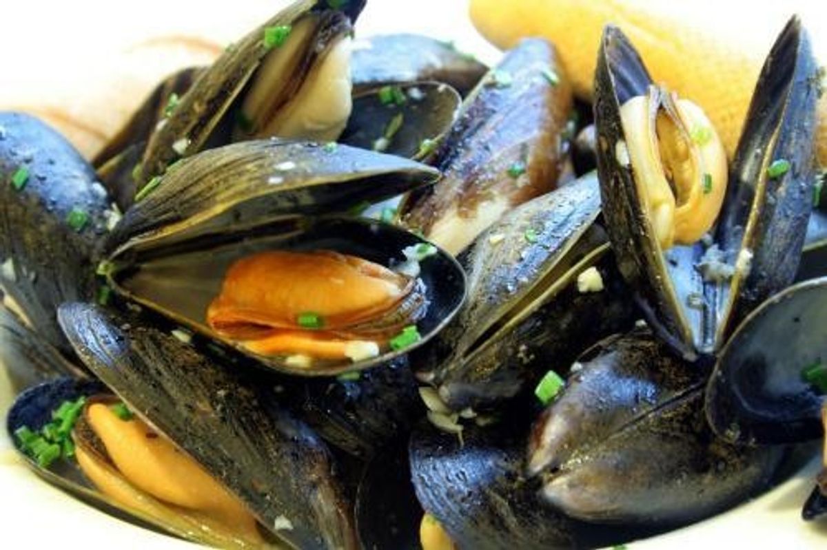 Mitili ignoti. Il fascino segreto delle cozze frutti di mare per eccellenza