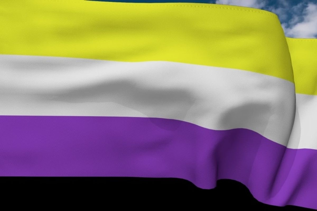 non-binary flag