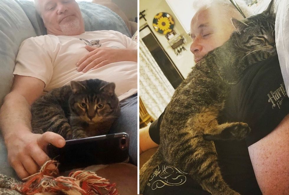 Kitten Cuddled Man Who Rescued Him from Road, and Blossomed into ...