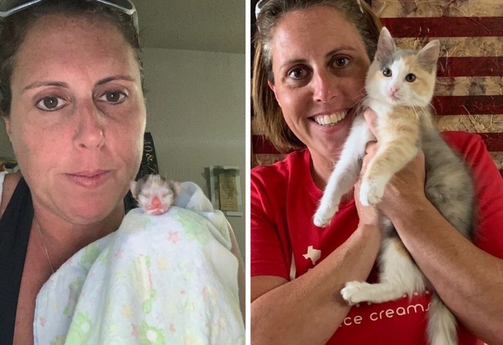 cute kitten, then and now, miracle kitten