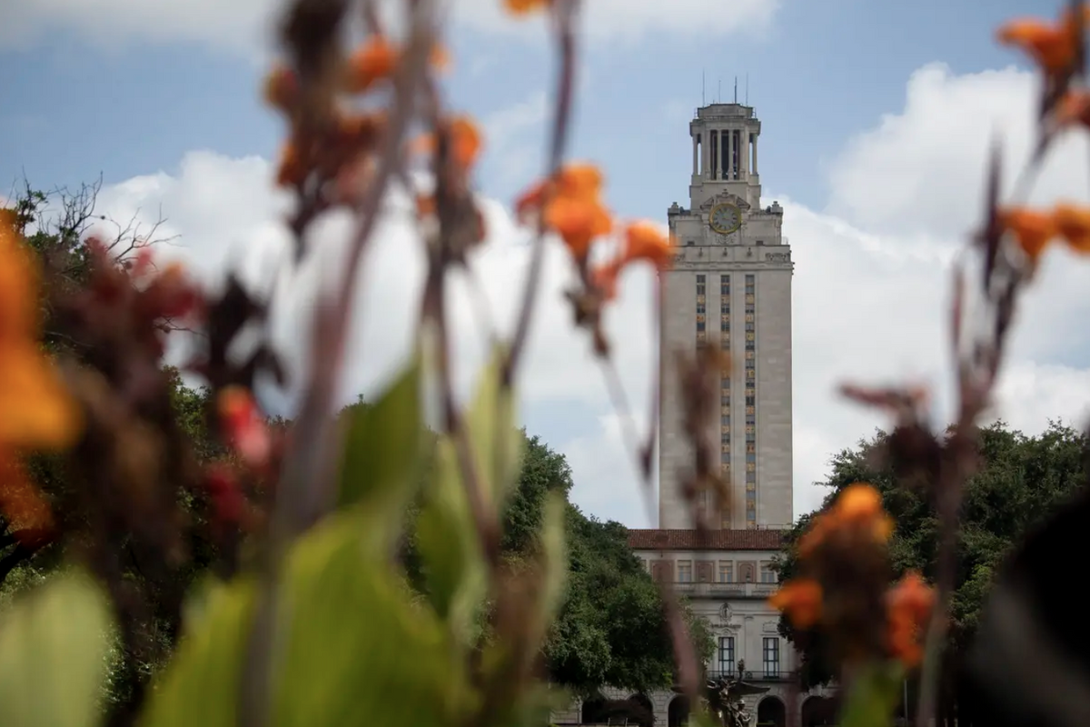 university of texas