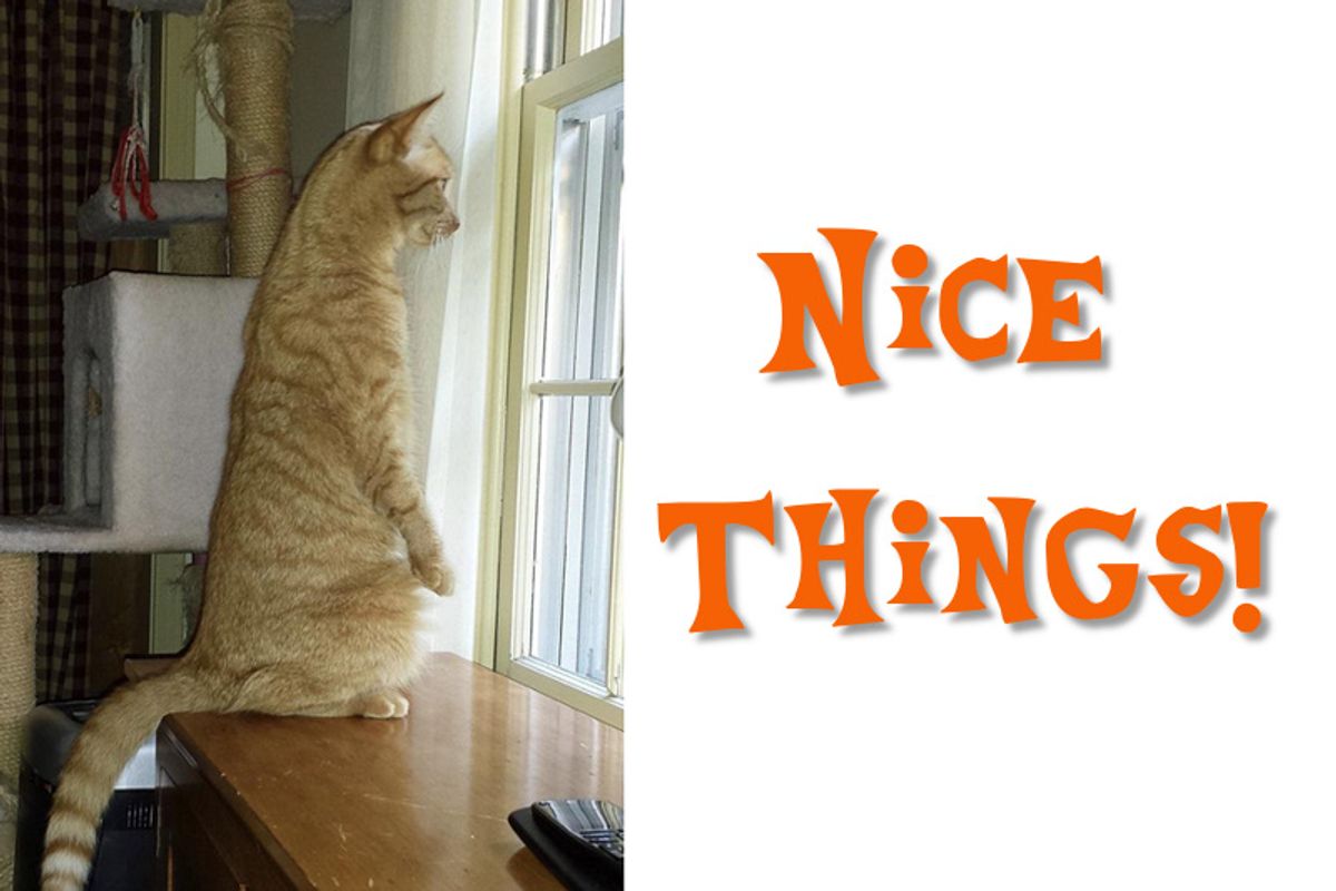 Nice Things And Good Trouble