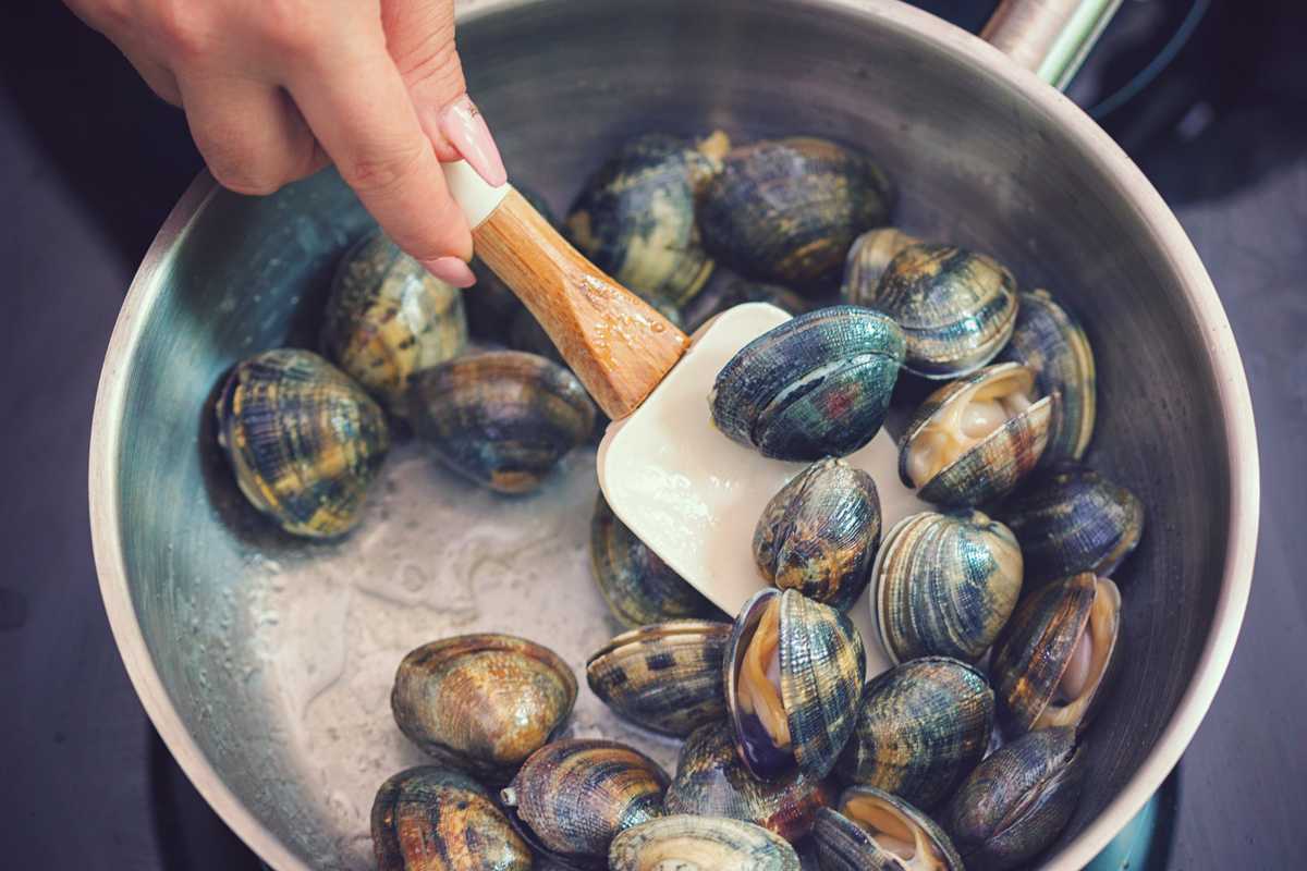 Vongole: poveracce, veraci o «false»? Ecco quello che dovete sapere