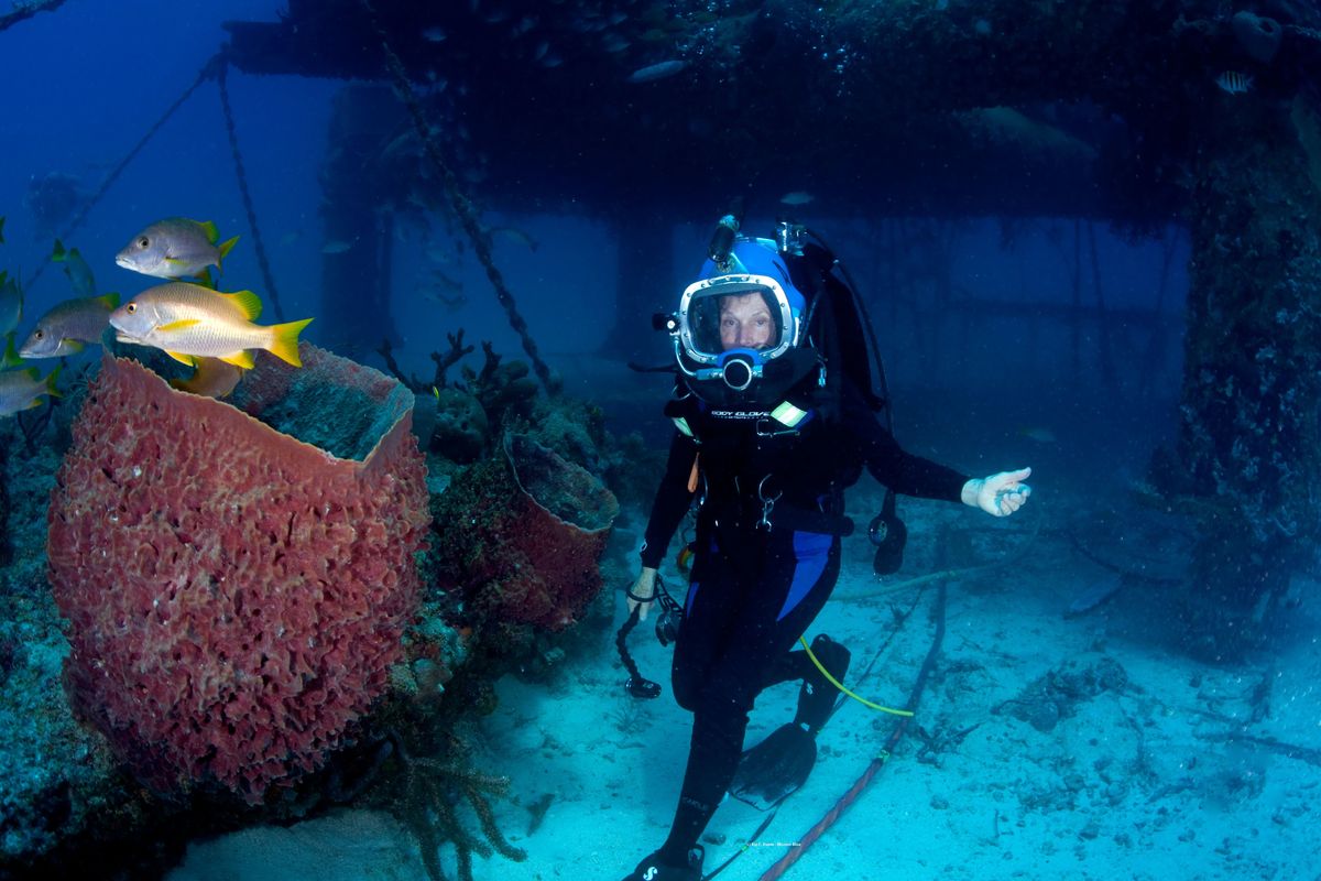 Sylvia Earle