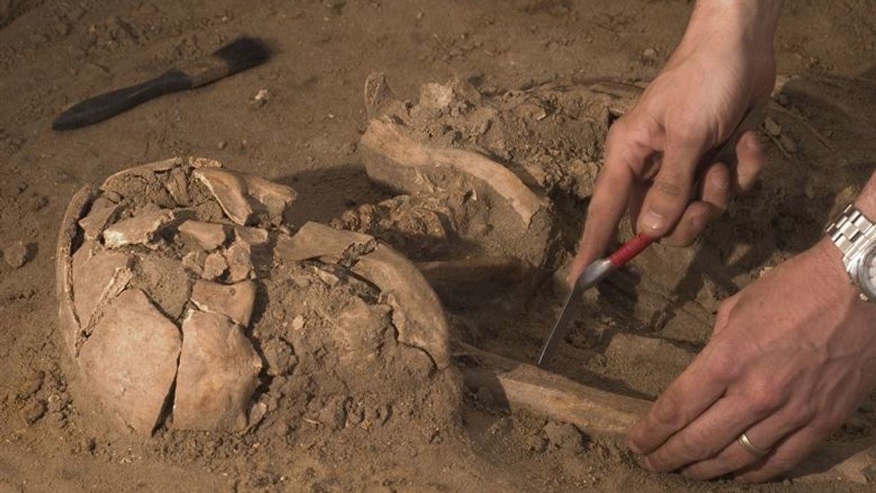 Archeologists Predict Which Historical Treasures They Hope To Find In The Next Decade