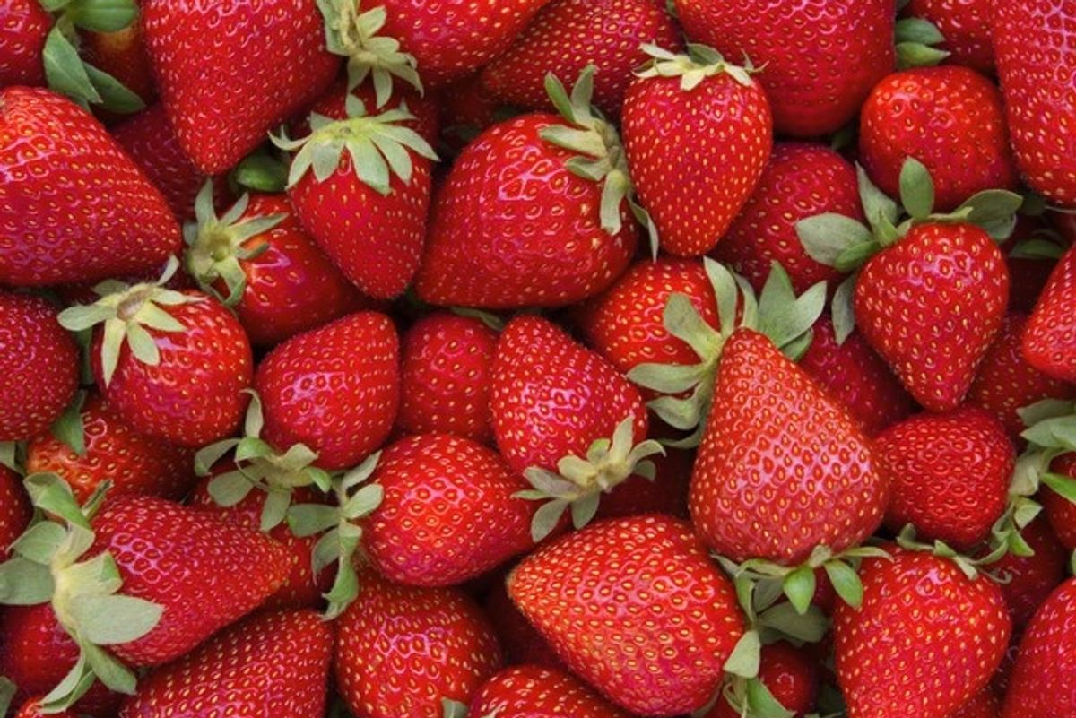 Divina fragola. Il diamante rosso dell’estate più potente di qualsiasi pillola