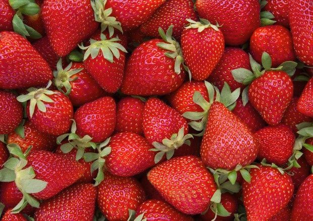 Divina fragola. Il diamante rosso dell’estate più potente di qualsiasi pillola