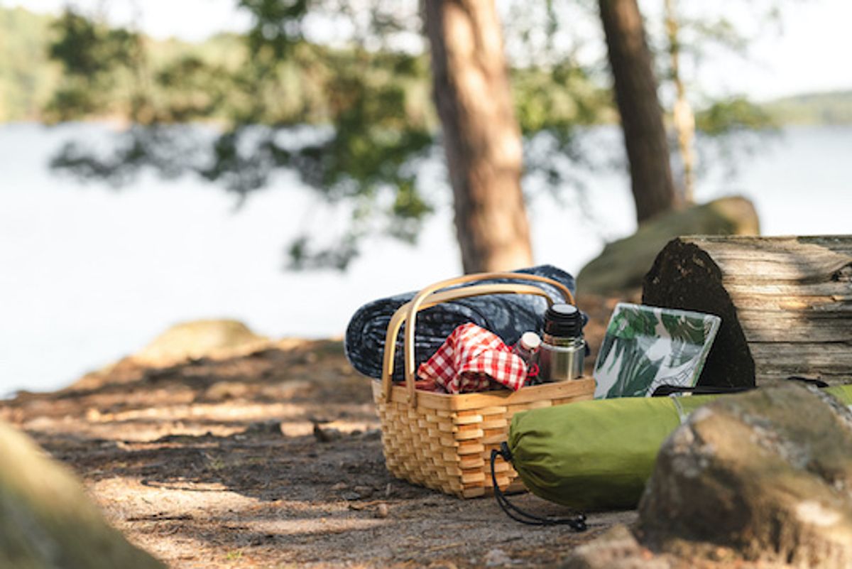 Picnic basket outside under a tree